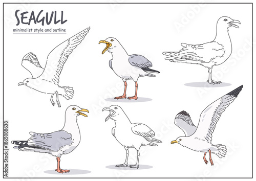 Illustration of a seagull depicted in multiple poses with clear outlines, emphasizing its distinctive characteristics and actions. Animal design concept