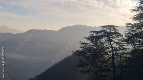 Majestic Mountain Range Towering Behind a Detailed Tree with Bare Branches in a Bright Daylight Landscape Vista