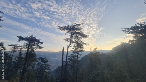 Majestic Mountain Range Towering Behind a Detailed Tree with Bare Branches in a Bright Daylight Landscape Vista