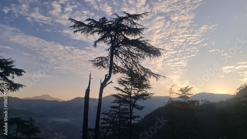Majestic Mountain Range Towering Behind a Detailed Tree with Bare Branches in a Bright Daylight Landscape Vista