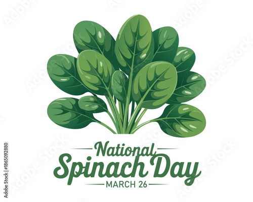 Vector illustration, fresh spinach leaves isolated on white background, as a banner, poster or template, national spinach day.