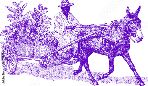 Donkey pulling a cart filled with plants. Vintage illustration featuring gardening in a rural setting, depicted in vector style.