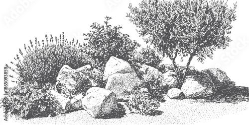 Detailed black and white vector illustration of plants and rocks in a natural setting. This artwork captures the essence of a vibrant garden in a scenic view.