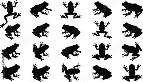 Set of frog silhouettes in multiple poses isolated on white background, amphibian animal icons, nature wildlife pattern collection
