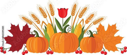 Autumn harvest festival flat vector illustration, pumpkins corn wheat ears maple leaves and red berries for Thanksgiving and fall decoration,