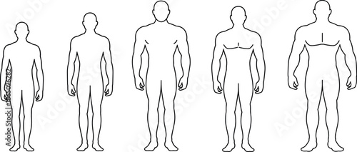 Male body types musculature male figure human anatomy male physique
