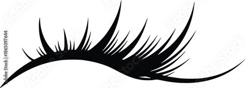A close-up view of a single eyelash silhouette on transparent background