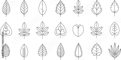 Leaf outline icon vector set featuring botanical foliage shapes minimal plant symbols and clean natural line illustrations