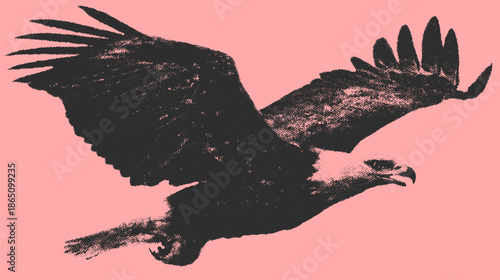 Eagle flying with outstretched wings in a stylized vector illustration. This black graphic showcases wildlife in nature with simplicity and modern design.