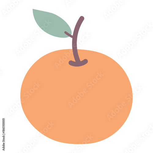 orange. cute fruit