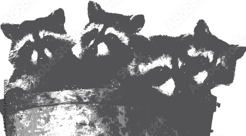 Three raccoons in a basket, illustrated in a simple black and white vector illustration. This wildlife artwork features a flat outline design.