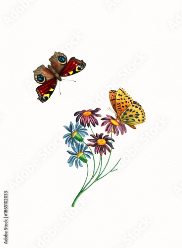 Handmade botanical flower illustration, natural plant art isolated on white watercolor paper background, decorative floral print.