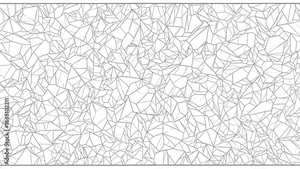 Fototapeta premium An abstract depiction of cracked earth or a fractured surface presented in a monochromatic linear style