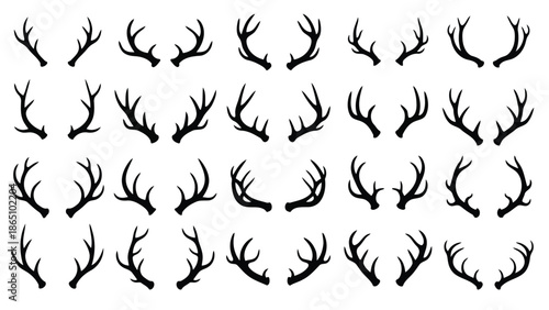 A collection of black and white deer antlers arranged in a grid pattern