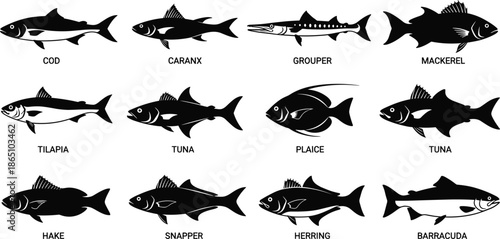 Set of black fish silhouettes with labels including tuna, cod, mackerel, and snapper isolated on white background for seafood restaurant menu design,