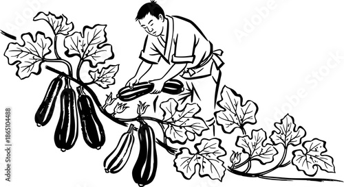 Monochrome sumi-e style illustration of a man harvesting fresh z
