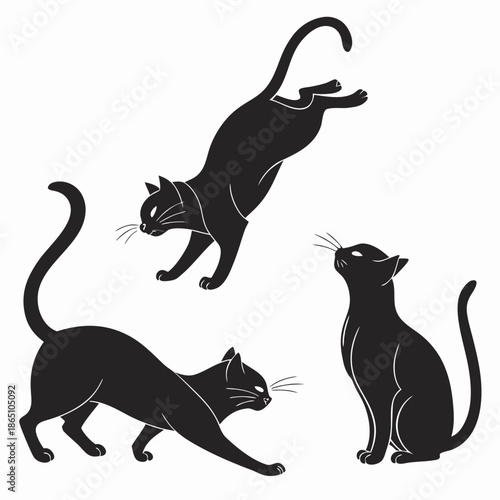 Placeholder vector file - image not available