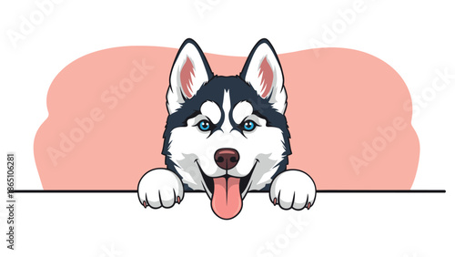 Happy siberian husky dog peeking over a line with bright blue eyes and its pink tongue sticking out joyfully.