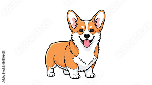 Happy welsh corgi dog standing and smiling with its tongue out against a clean white background space.