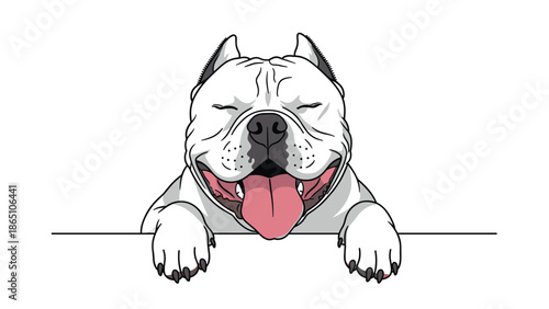Smiling white pitbull dog winking its eye and peeking over a horizontal line with its pink tongue out.