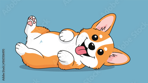 Playful corgi puppy lying on its back and showing its belly with a very happy smiling expression on blue.