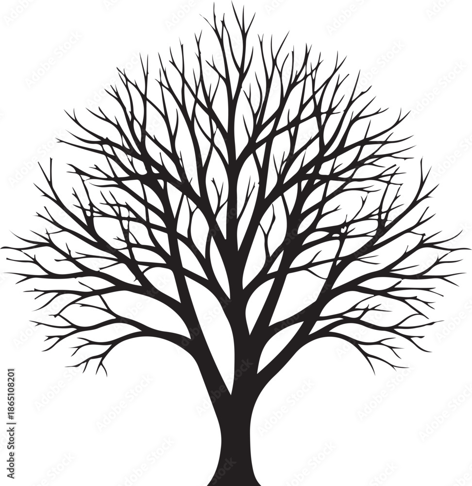 Obraz premium Bare tree silhouette