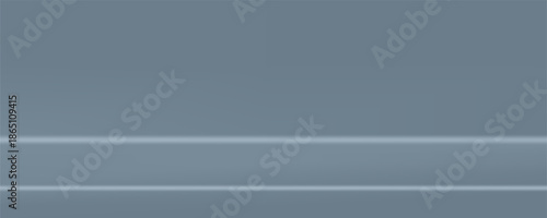 Empty Gray studio background. Abstract gradient Gray. wall room with lights. Space for selling products on the website. Background vector 3d. Vector illustration.