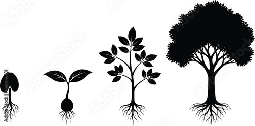 Tree Growth Stages Silhouette Vector Set Featuring Seed Germination, Sprout, Sapling, Mature Tree with Roots, Botany Life Cycle, and Nature Development