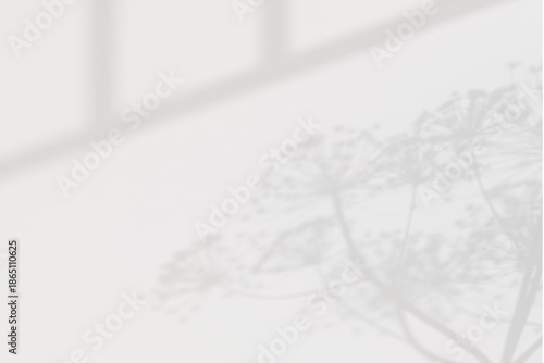Template of a decorative flower branch shadow on a white blank wall. Window shadows. Overlay mask. Interior backdrop mockup. 3d render