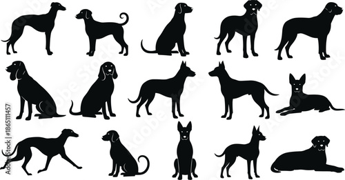 Dog Breed Silhouette Vector Set Featuring Various Canines, Sitting, Standing, and Running Poses, Domestic Pets, Animal Icons, and Veterinary Graphics