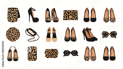 Leopard Print Fashion Accessories and Footwear.
