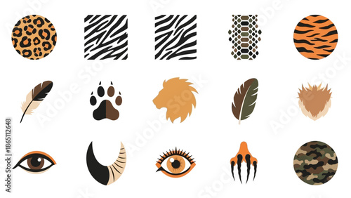 Wild Animal Patterns and Features Collection.