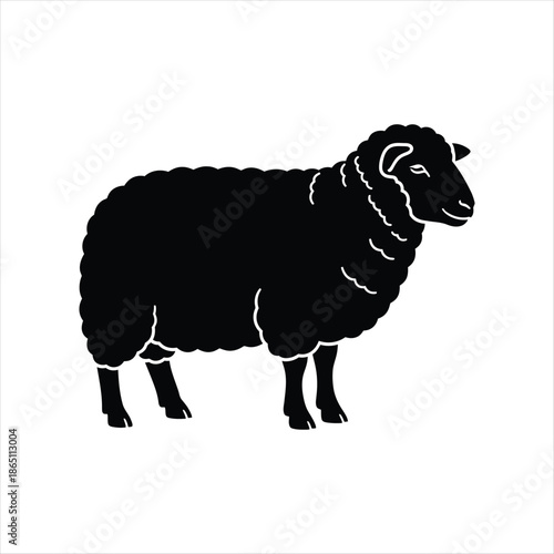 Silhouette Of Black Sheep Standing