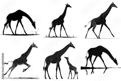 Giraffe Silhouette Vector Icons Minimalist Black Animal Posture Set