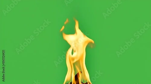 Vibrant Flame on Bright Green Background
