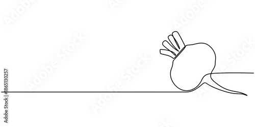 A single continuous line drawing of a beet or radish on a white background Vector, illustration