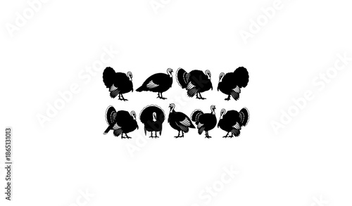 Farm Turkey Silhouette Collection – Poultry Animal Vector Set