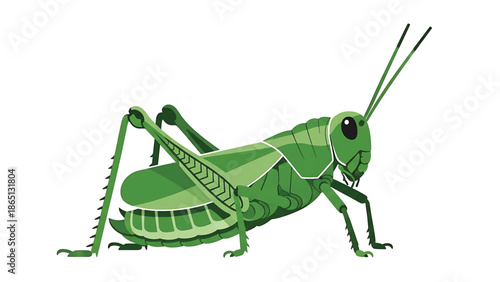 Illustration of a green insect, possibly a grasshopper, shown in profile against a white background. It displays sharp features