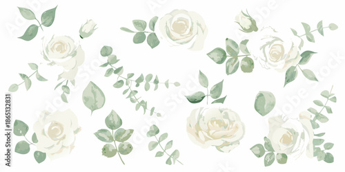 Watercolor illustration of white roses leaves and delicate eucalyptus sprigs