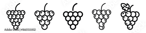 grape bunch food outline icon collection. Vector illustration