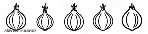 onion food outline icon collection. Vector illustration