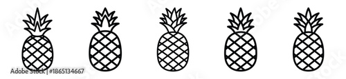 pineapple food outline icon collection. Vector illustration