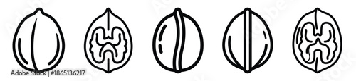walnut food outline icon collection. Vector illustration