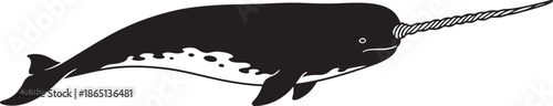 Flat style cartoon whale isolated on transparent background