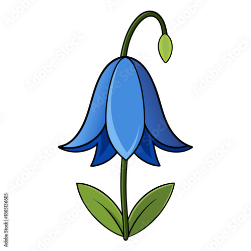 Blue Bellflower Campanula Vector