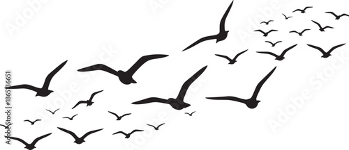 Flock of birds flying in formation isolated on transparent background