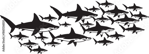 Group of swimming shark silhouettes isolated on transparent background