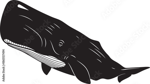Silhouette of a whale swimming isolated on transparent background