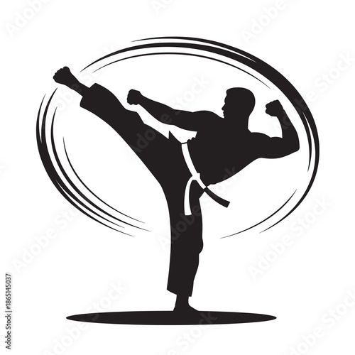 A silhouette illustration of a martial artist performing a powerful high kick