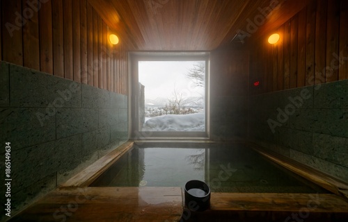 A serene and relaxing winter scene of a hot bath of natural thermal spring in a traditional Japanese Onsen Ryokan, with a view of the forest on a snowy hillside, in Hakuba village, Nagano, Japan